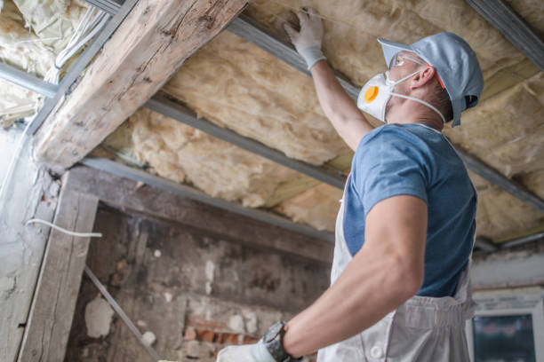 Best DIY Insulation Kits and Guidance in Eagle Butte, SD