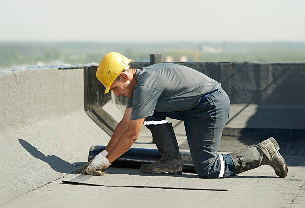 Best Cellulose Insulation in Eagle Butte, SD