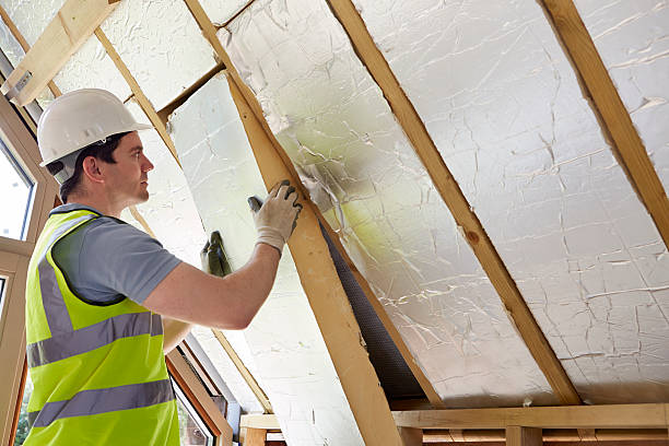 Best Eco-Friendly Insulation in Eagle Butte, SD